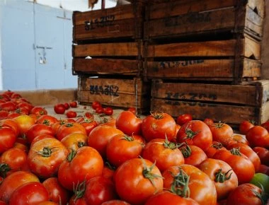 Επιχείρηση σάλτσας καλεί πολίτες να πάρουν με… τις ντομάτες βουλευτές, Κοτζιά και Τσίπρα